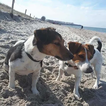 Am Ostseeradweg Rerik