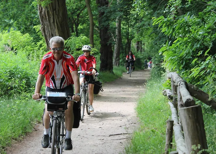 Am Ostseeradweg Rerik